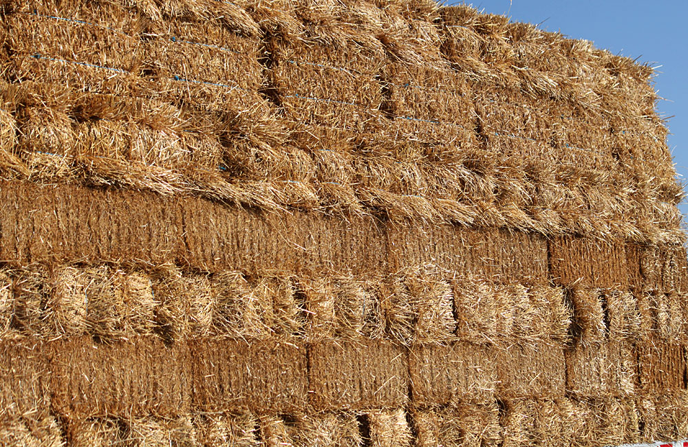 Hay For Sale Timothy, Alfalfa, Orchard, Fescue, Bermuda, Grass Hay