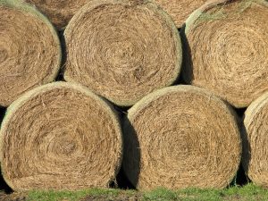 hay storage