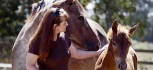 Vitamins for Horses