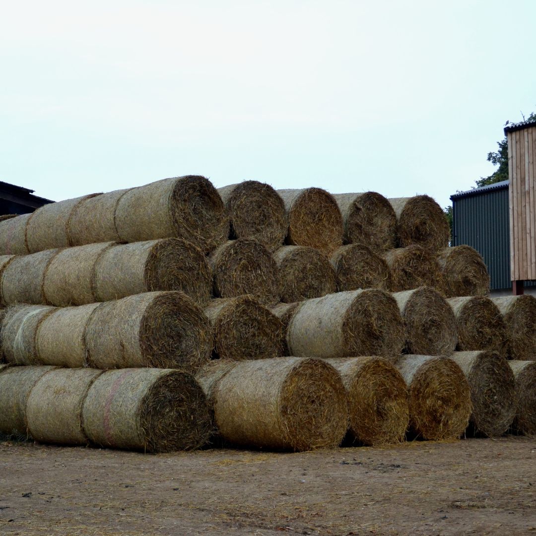 stacked stored hay