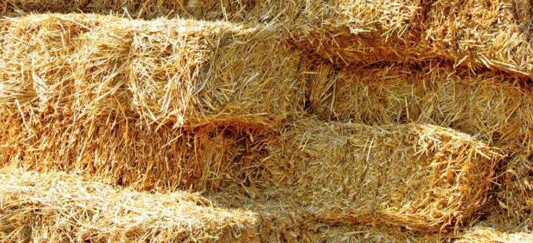 Buying Hay for Horses: How Much? - J & J Hay Farms