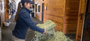 Feed Horse Hay by Weight, Not by Flake
