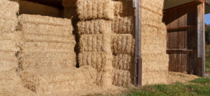 Horse Hay stacks