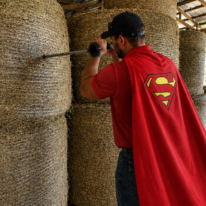Geff running a hay sample