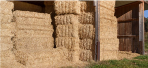 Analyzing Horse Hay