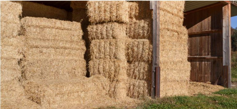 Large piles of square hay bales, the amount of hay pictured can be part of our delivery services