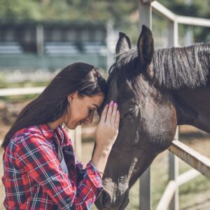 Dealing with Horses That Don’t Like What You’re Serving