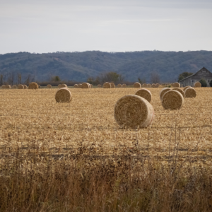Hay bales in a fall pasture with Georgia hills in the background