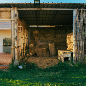 Hay carefully stacked in a barn, which helps to Prevent Hay Mold in Humidity
