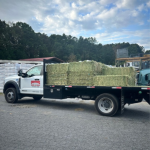 Deliver truck filled with square bales