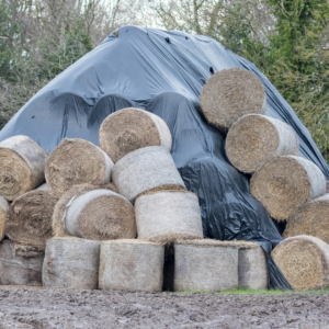 Round bales of hay, some are covered by a tarp to protect them from wet weather.