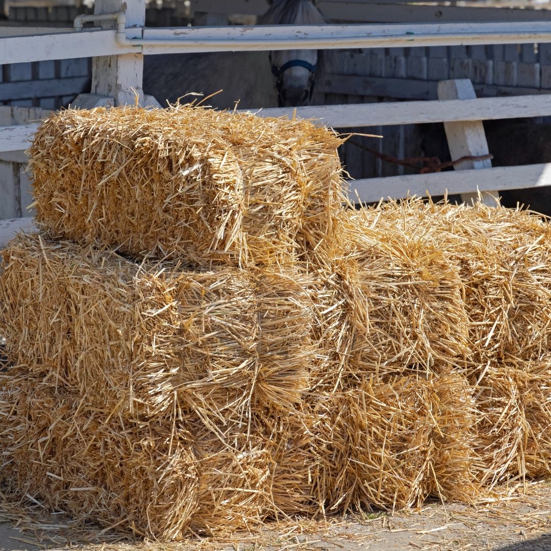 hay square bale